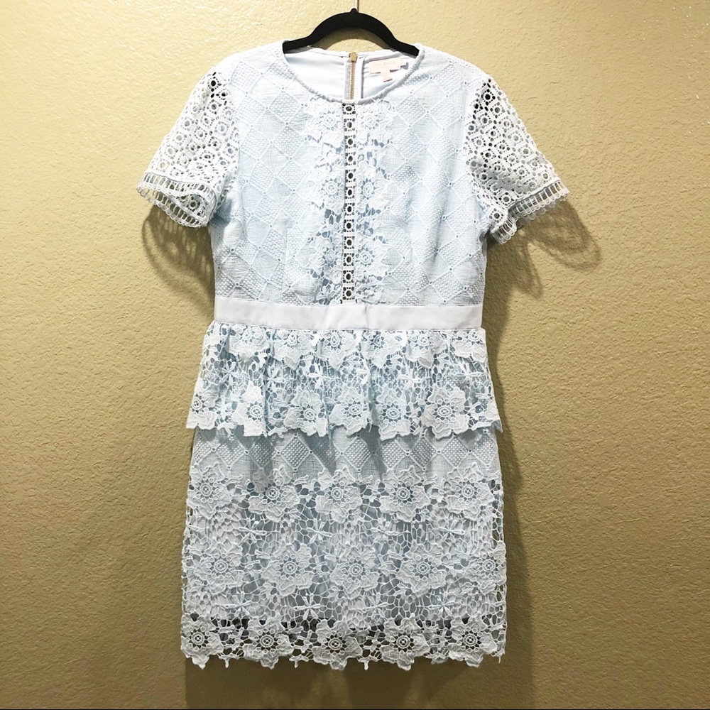 Ted Baker Dixa Layered Lace Skater Dress - Picture 4 of 15